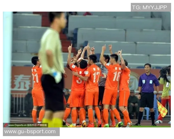 鲁能足球主场的激情与荣耀见证了无数精彩瞬间和球迷的热血支持